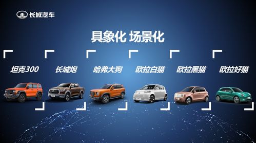 傅小康談長(zhǎng)城汽車品牌增肌 一場(chǎng)由內(nèi)而外的自我革命