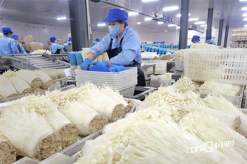 工廠化種植食用菌供應(yīng)市場